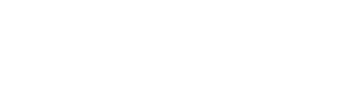 betmotion logo white